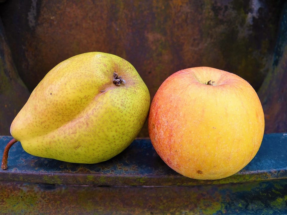 fruits apple pear