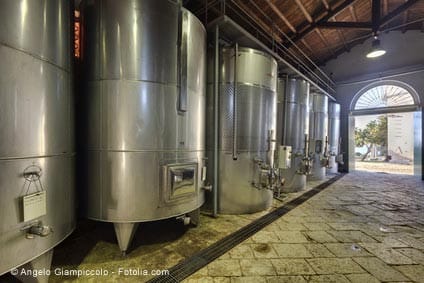 quality organic bulk wines